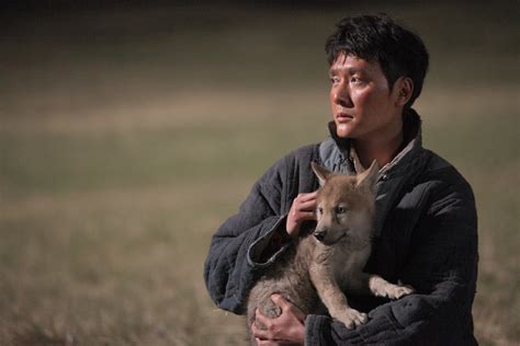 gofilm wolf totem|'Wolf Totem' Review: Jean.